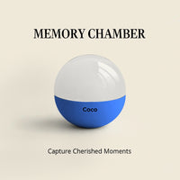 Memory Chamber