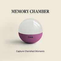 Memory Chamber