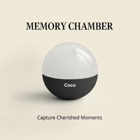 Memory Chamber